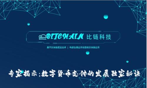 专家揭示：数字货币支付的发展独家秘诀