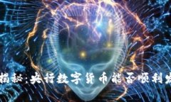 专家独家揭秘：央行数字货币能否顺利