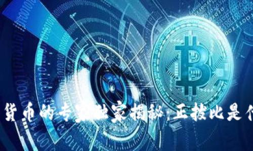 数字货币的专家独家揭秘：正拔比是什么？
