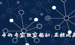 数字货币的专家独家揭秘：正拔比是什