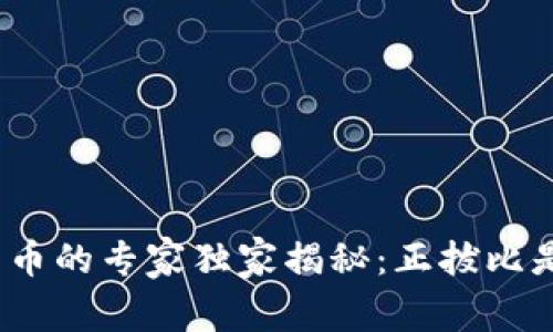 数字货币的专家独家揭秘：正拔比是什么？