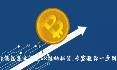 t p钱包怎么设置OK链的秘笈，专家教你一步到位
