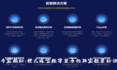 专家揭秘：橙元通宝数字货币的独家投资秘诀