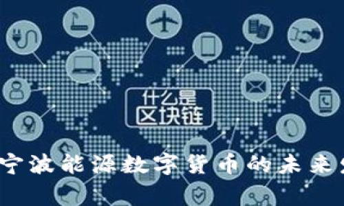专家独家揭秘：宁波能源数字货币的未来发展与投资秘诀