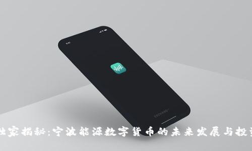 专家独家揭秘：宁波能源数字货币的未来发展与投资秘诀