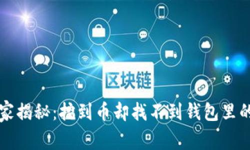 以太坊挖矿专家揭秘：挖到币却找不到钱包里的秘密独家秘诀