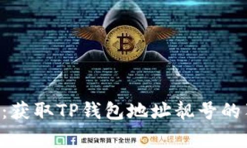 专家解密：获取TP钱包地址靓号的独家秘诀！