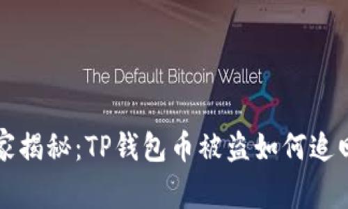 专家独家揭秘：TP钱包币被盗如何追回的秘诀