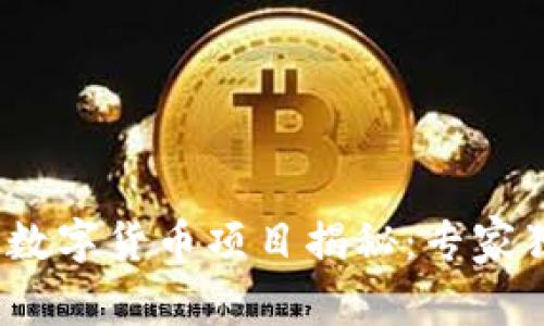 2023年最具潜力的数字货币项目揭秘：专家独家分享的投资秘诀
