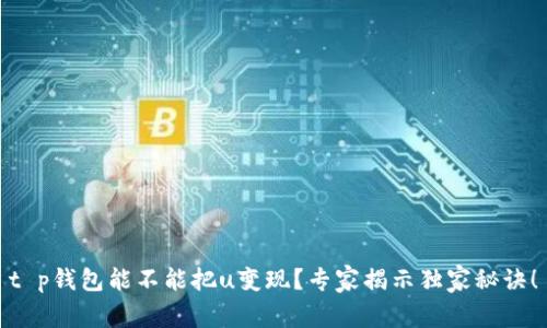 t p钱包能不能把u变现？专家揭示独家秘诀！