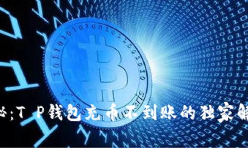 专家揭秘：T P钱包充币不到账的独家解决秘诀！