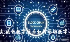 专家独家解读：央行数字货币如何驱动