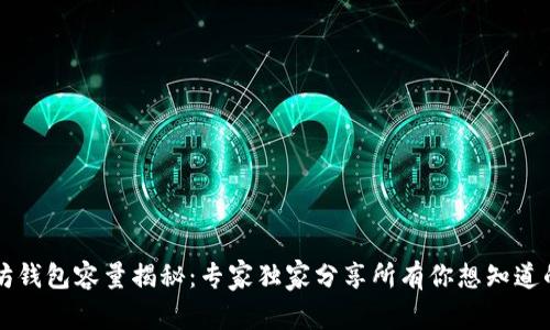 以太坊钱包容量揭秘：专家独家分享所有你想知道的秘密