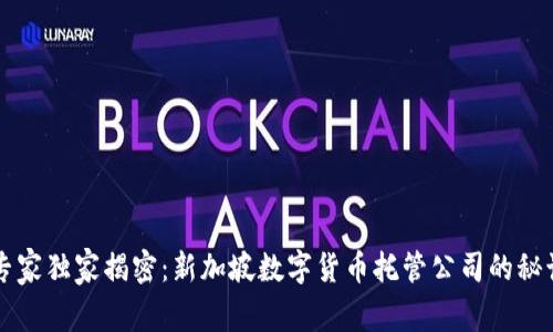 专家独家揭密：新加坡数字货币托管公司的秘诀