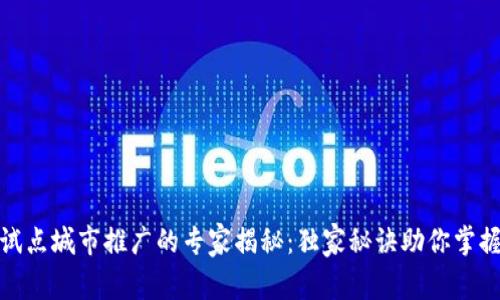 数字货币试点城市推广的专家揭秘：独家秘诀助你掌握未来金融