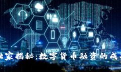 专家独家揭秘：数字货币融资的成功秘