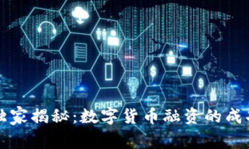 专家独家揭秘：数字货币融资的成功秘诀