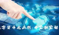 揭秘阿里数字货币龙头股：专家独家解