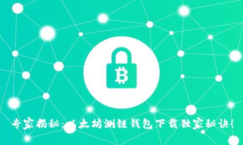 专家揭秘：以太坊测链钱包下载独家秘诀！