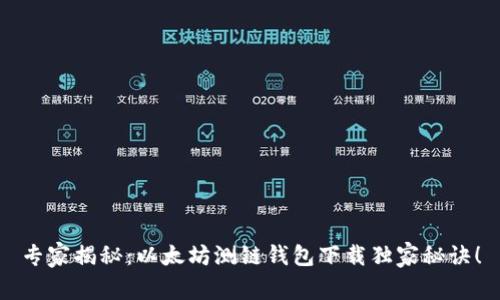 专家揭秘：以太坊测链钱包下载独家秘诀！