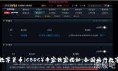 全球央行数字货币（CBDC）专家独家揭