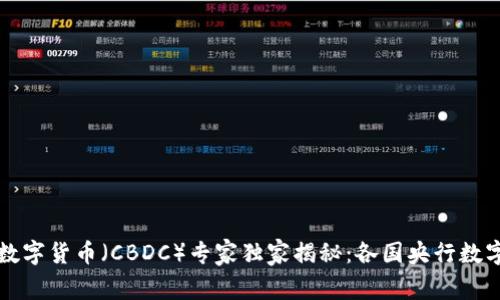 全球央行数字货币（CBDC）专家独家揭秘：各国央行数字货币一览