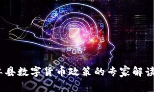 独家揭秘：单县数字货币政策的专家解读与应用秘诀